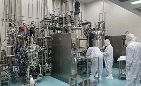 韩国全自动磁力搅拌发酵罐生物反应器SAT